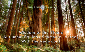 Wisdom of the Elders